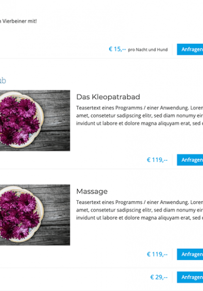 Webmaster Integration vioma BOOKING Programme und Zusatzleistungen Auflistungen