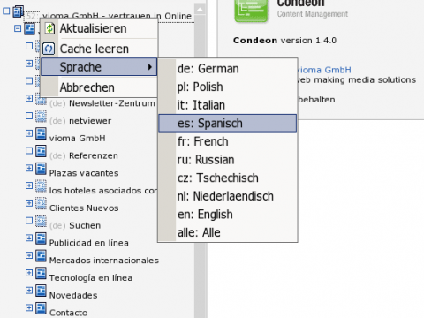 Sprache im Seitenbaum auswählbar